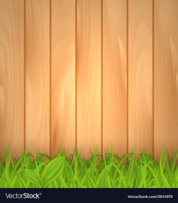  					Freshness spring green grass and wooden wall vector image														