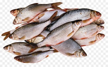 Freshwater fish Barbecue Fish processing Fishing - fish 