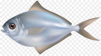 Freshwater fish Food Saltwater fish Clip art - fish 