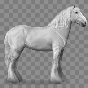 FREYA 573.20, Draught horse Shire Light Grey #4612042 - Howrse