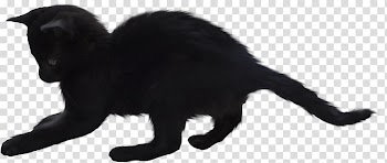 Friday the 13th Bxf6szi-Vet xc1llatorvosi Rendelu0151 xe9s xc1llatpatika Black cat Autumn, Witch Cat transparent background PNG clipart