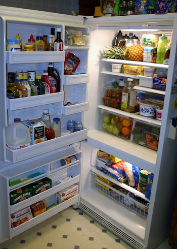 fridge_003.jpg