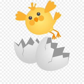 Fried chicken Rotisserie chicken Buffalo wing - Vector yellow broken shell flying Easter bubble chick 
