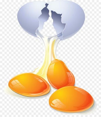 Fried egg Eggshell Yolk - yolk 