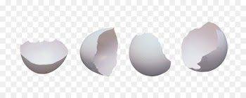 Fried egg Image Eggshell Photography - egg 