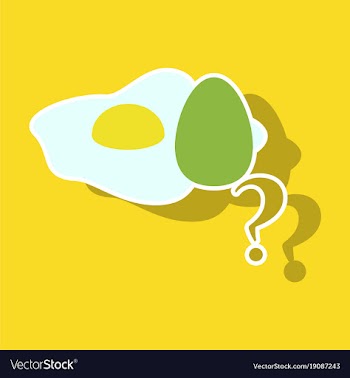 Fried egg isolated on background fried egg vector image