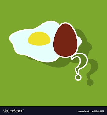 Fried egg isolated on background fried egg vector image
