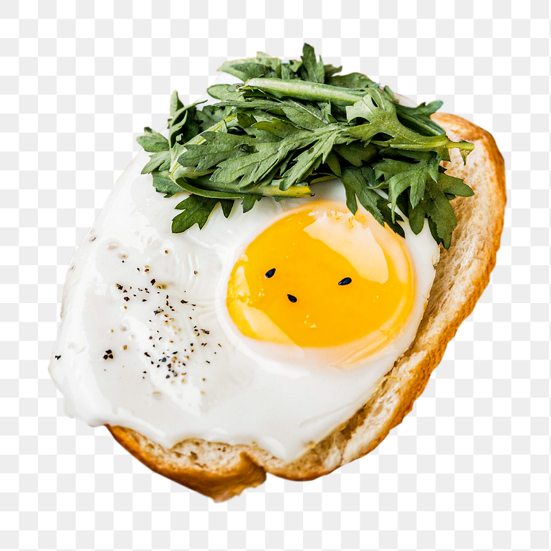 Fried egg sandwich png sticker, | Free PNG - rawpixel