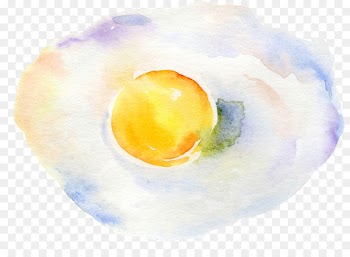 Fried egg Watercolor painting - Poached eggs 