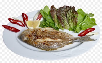 Fried fish Moqueca Grilling Recipe - fish 