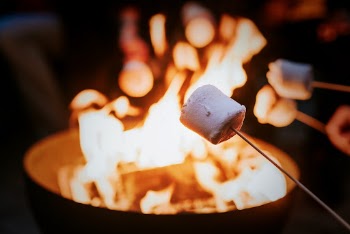 Friends enjoying s'mores and marshmellow | Free Photo - rawpixel