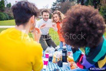 Friends taking picture during picnic in park