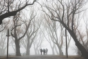 Friends Walk Foggy Path