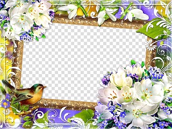Friendship Message Love Christianity, Mood Frame transparent background PNG clipart