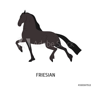 Friesian horse flat vector illustration