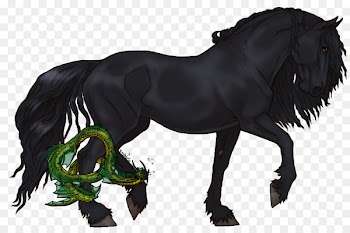 Friesian horse Mane Mustang Stallion Pony - holi river  ganga 