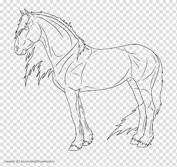Friesian Sporthorse Lines, standing black horse illustration transparent background PNG clipart