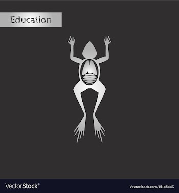 Frog biology black and white style icon vector image