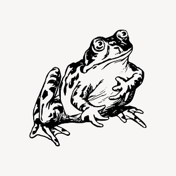 Frog clipart, amphibian animal illustration | Free Vector Illustration - rawpixel