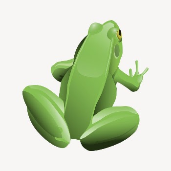 Frog clipart, animal illustration vector. | Free Vector - rawpixel