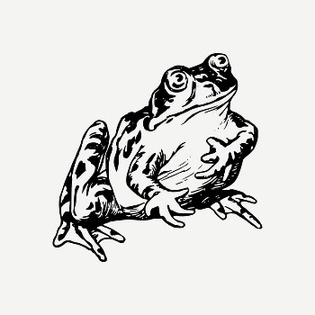 Frog collage element, amphibian animal | Free PSD Illustration - rawpixel