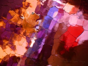 Frog color glass MGDÂ©.jpg