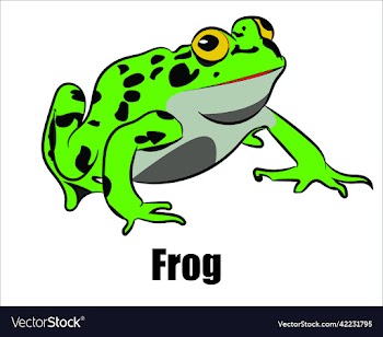 frog design