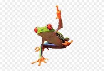 Frog Flipping Off Camera - Toad