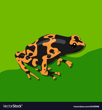 frog free design