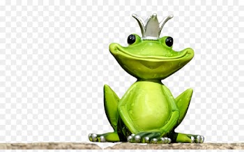 frog green tree frog true frog tree frog