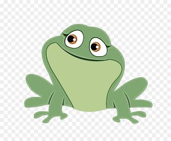 frog green true frog hyla cartoon