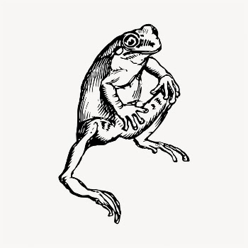 Frog illustration clipart vector. Free | Free Vector - rawpixel