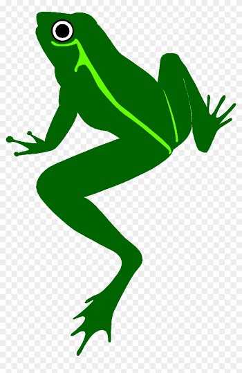 Frog Plague Of Egypt Clipart - Whooping Crane Food Chain