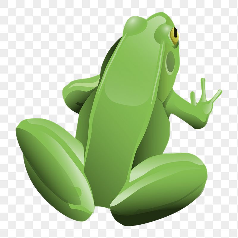 Frog png sticker, animal illustration | Free PNG - rawpixel