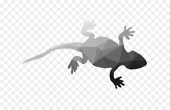 Frog Reptile Terrestrial animal Fauna Legendary creature -  