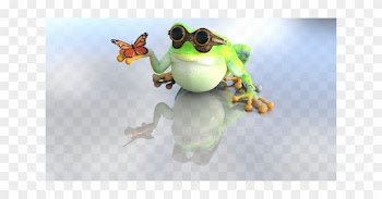 Frog, Toad, Nature, Butterfly - Sapo Con Una Mariposa
