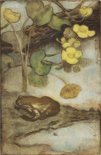 Frog with marsh marigold, 1880 | Free Photo - rawpixel