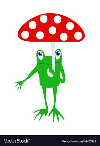 frog with umbrella