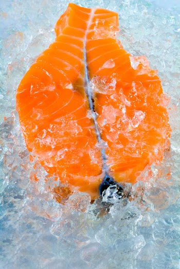 from a  salmon in ice