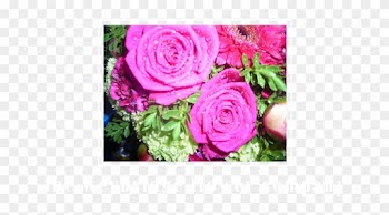 From Seasonal Hand-tied Bouquets And Arrangement To - Garden Roses