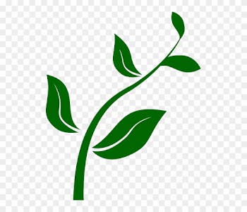 From Seed To Plant Clip Art - Growing Plant Clip Art
