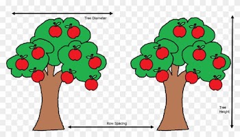 From Syngenta Website - Apple Tree Clipart