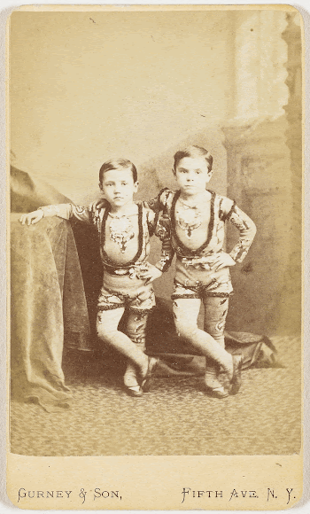 from wet plate negative. Original | Free Photo - rawpixel
