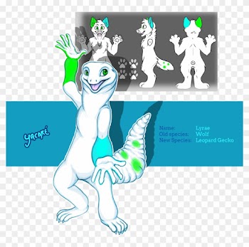 From Wolf To Leopard Gecko - Snow Leopard