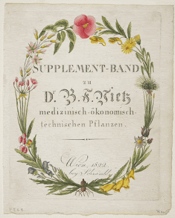 Frontispiece and Title Page to Supplement-Band | Free Photo - rawpixel