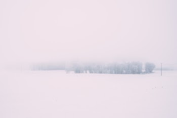 Frosted old net fence 2