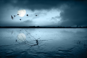 Frozen lake in moonlight