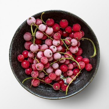 Frozen red currant berry sticker, | Free PSD - rawpixel