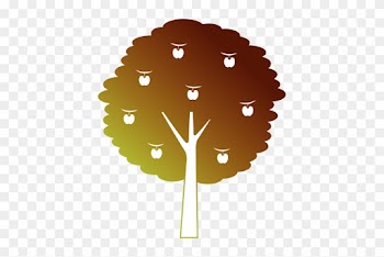Fruit Apple Tree Agriculture Nature Botanical - Tree