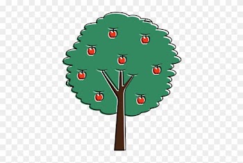 Fruit Apple Tree Agriculture Nature Botanical - Trunk
